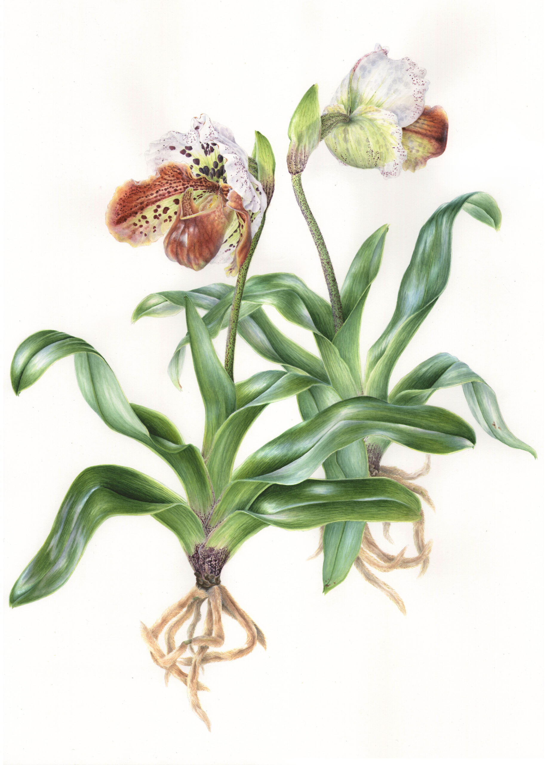 FinalPainting1
